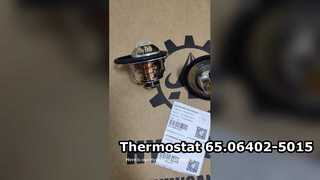 Termostat 65.06402-5015 65.064025015 6506402-5015