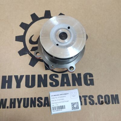 Excavator Parts Water Pump VOE21247955 For EC210 EC240 EC290