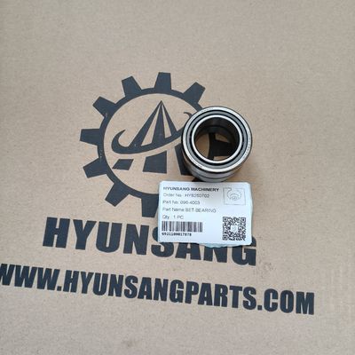 Hyunsang Set Bearing 096-4003 For 311C, 313D2 LGP, 315C, 315D L, 316E L, 318B